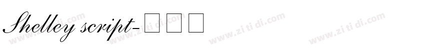Shelley script字体转换